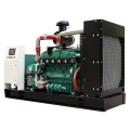 High Standard Quality Turbocharged 200kw Natural Gas Generator